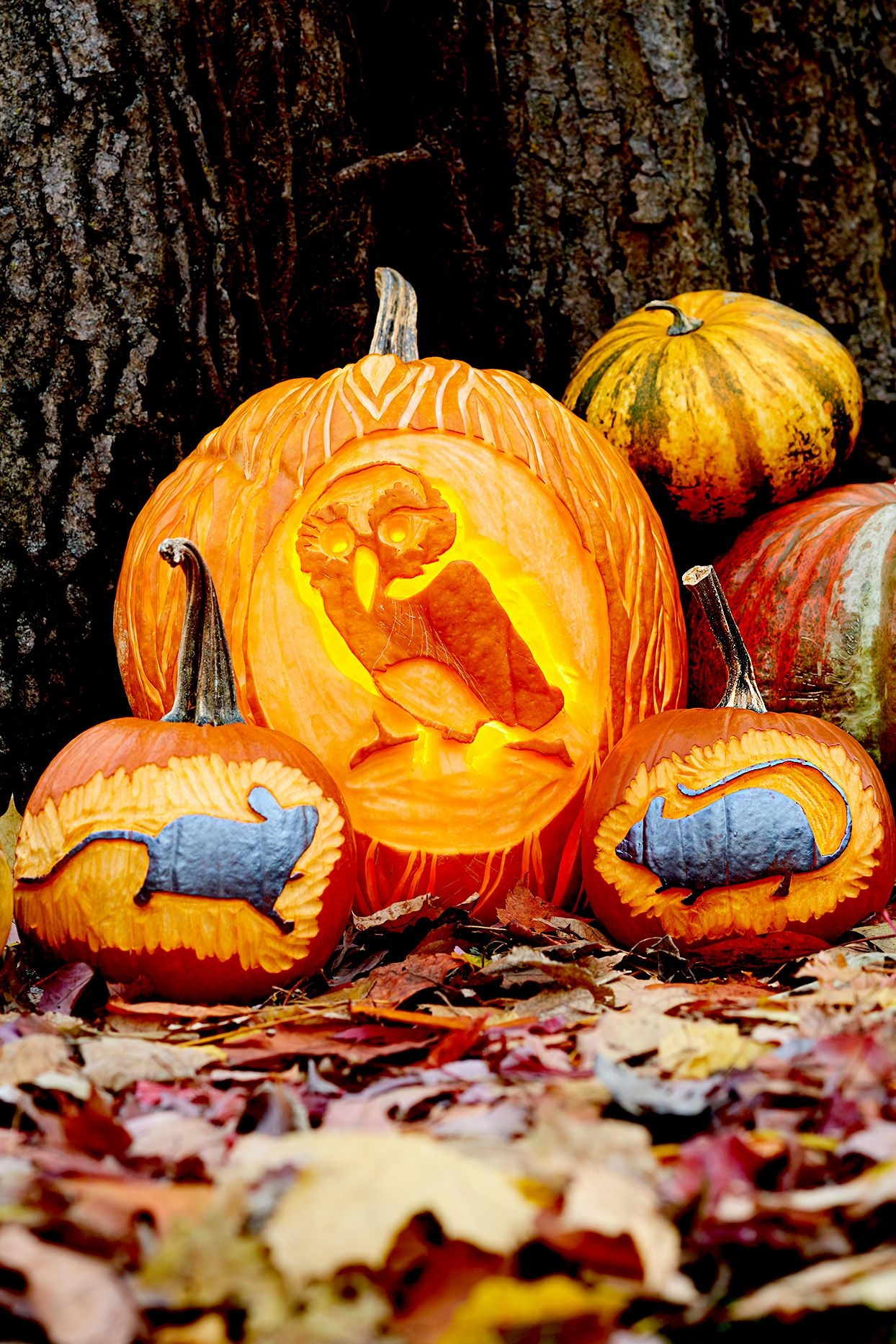 65 Free Pumpkin Carving Stencils To Personalize Your Porch Decor