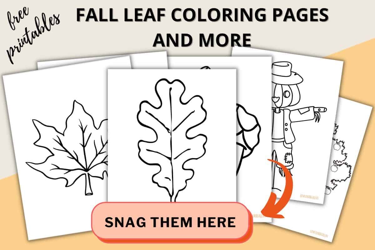 Fall Leaf Template Free Printable
