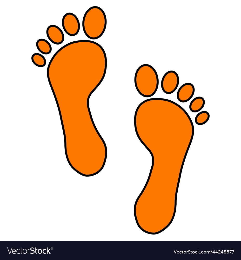 Foot Print Human Sign Track Walking Design Icon Vector Image