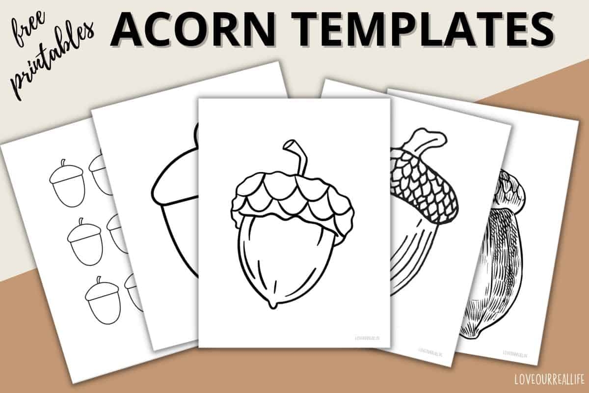 Acorn Template Free Printable