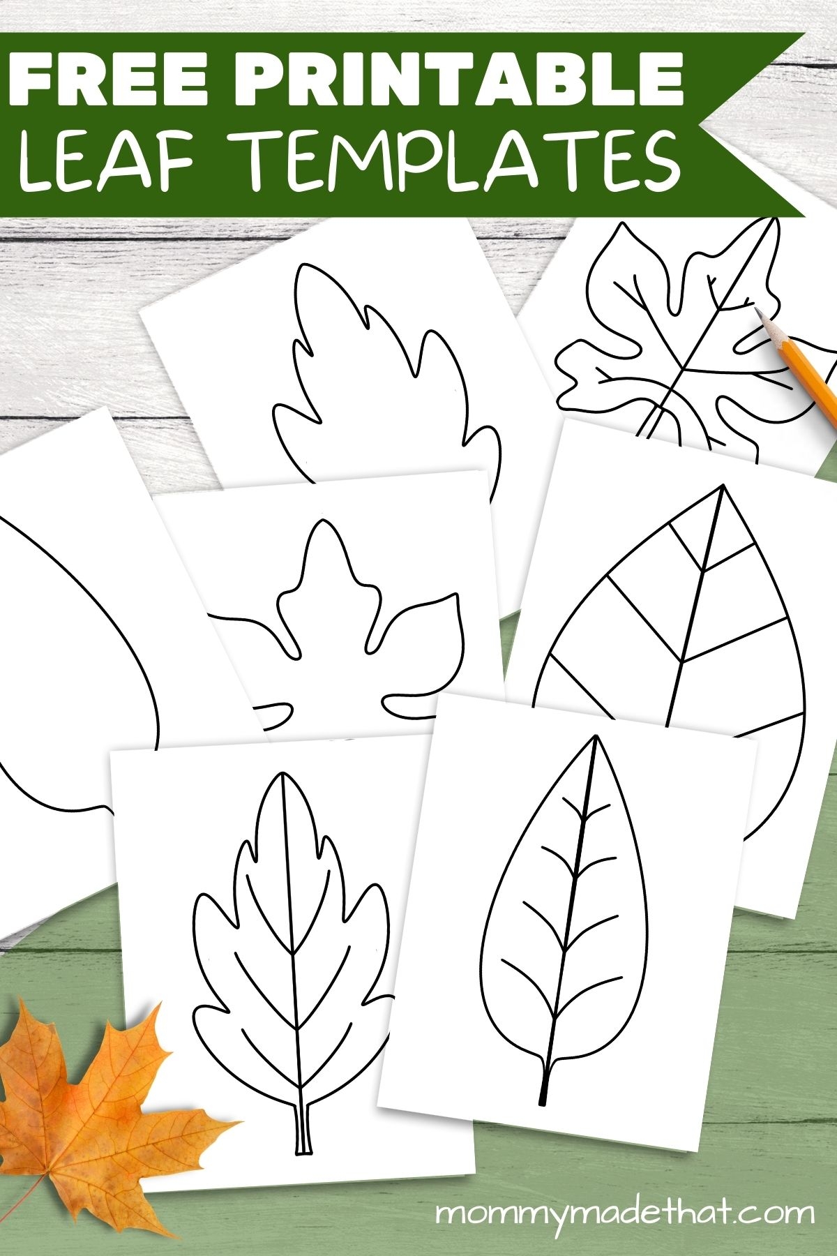 Large Leaf Template Printable Pdf Free