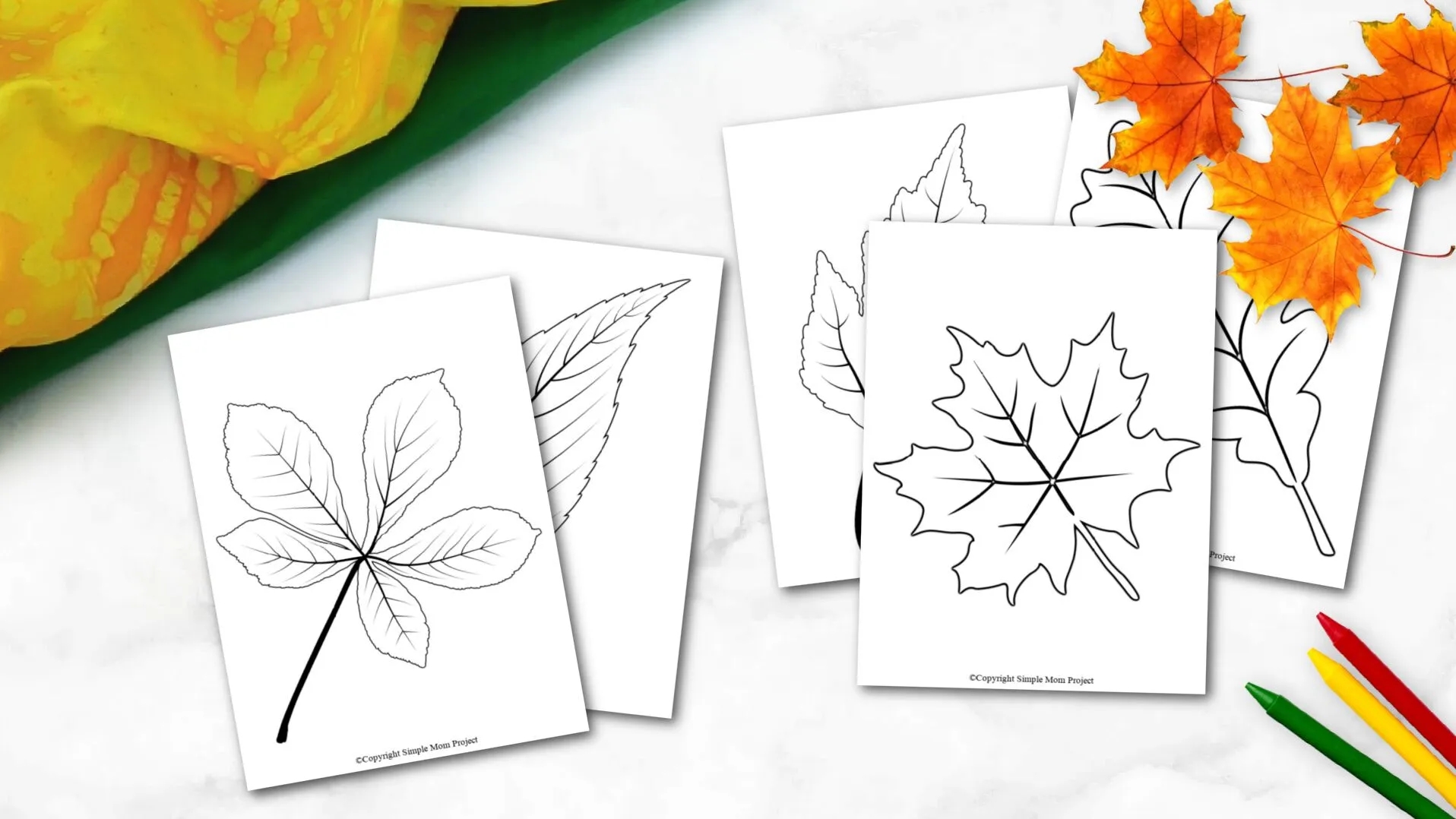 Free Printable Autumn Templates