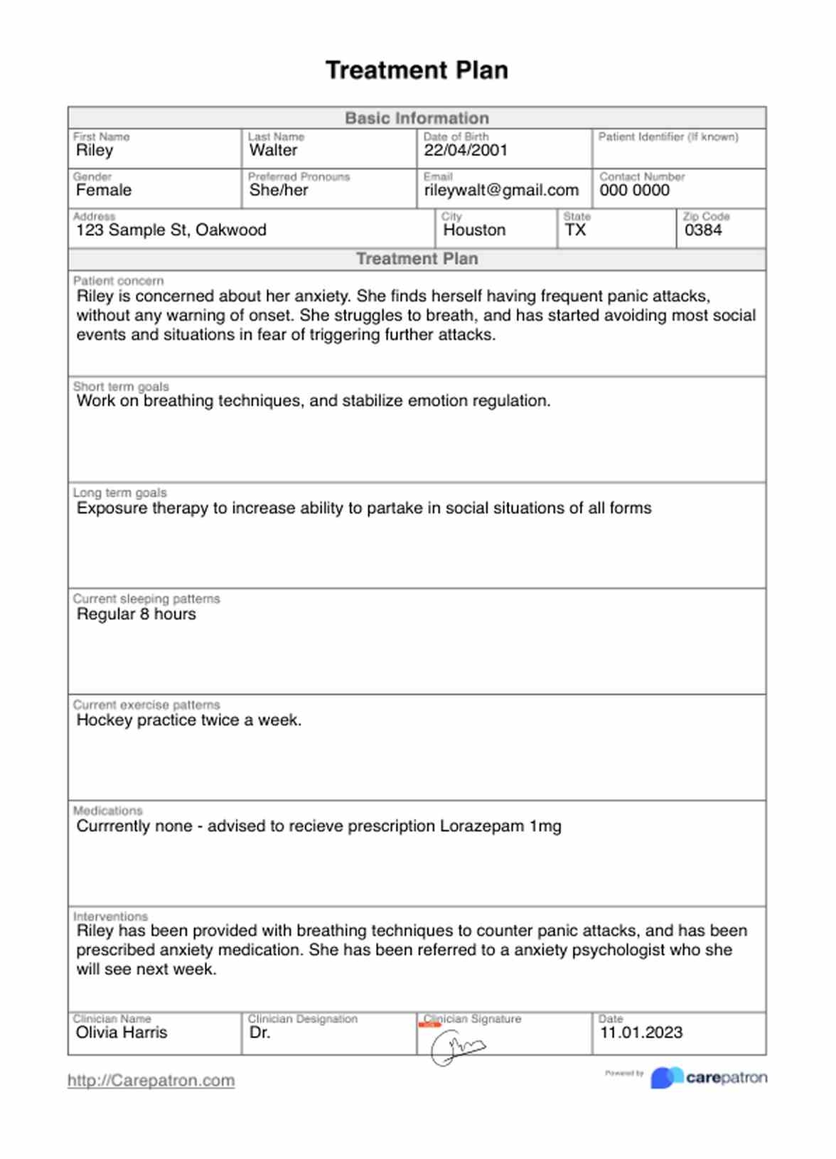 Treatment Plan Template Example Free PDF Download