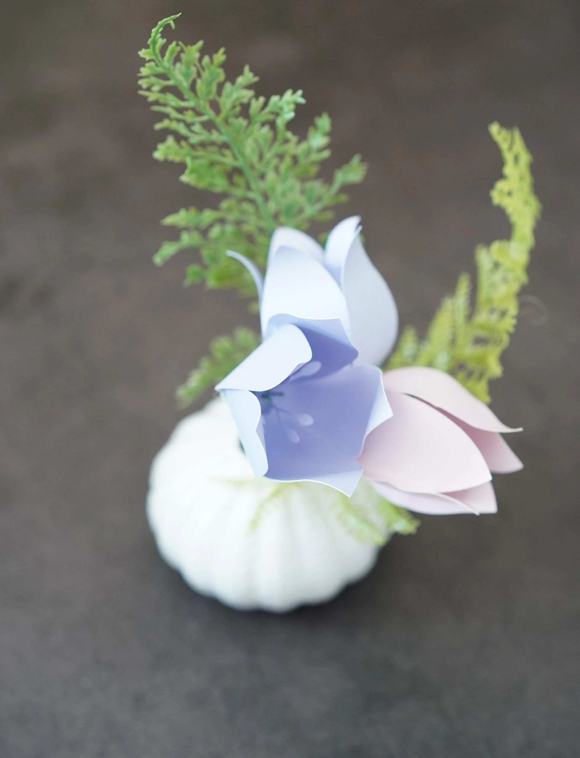 3d Tulip Template Printable Free