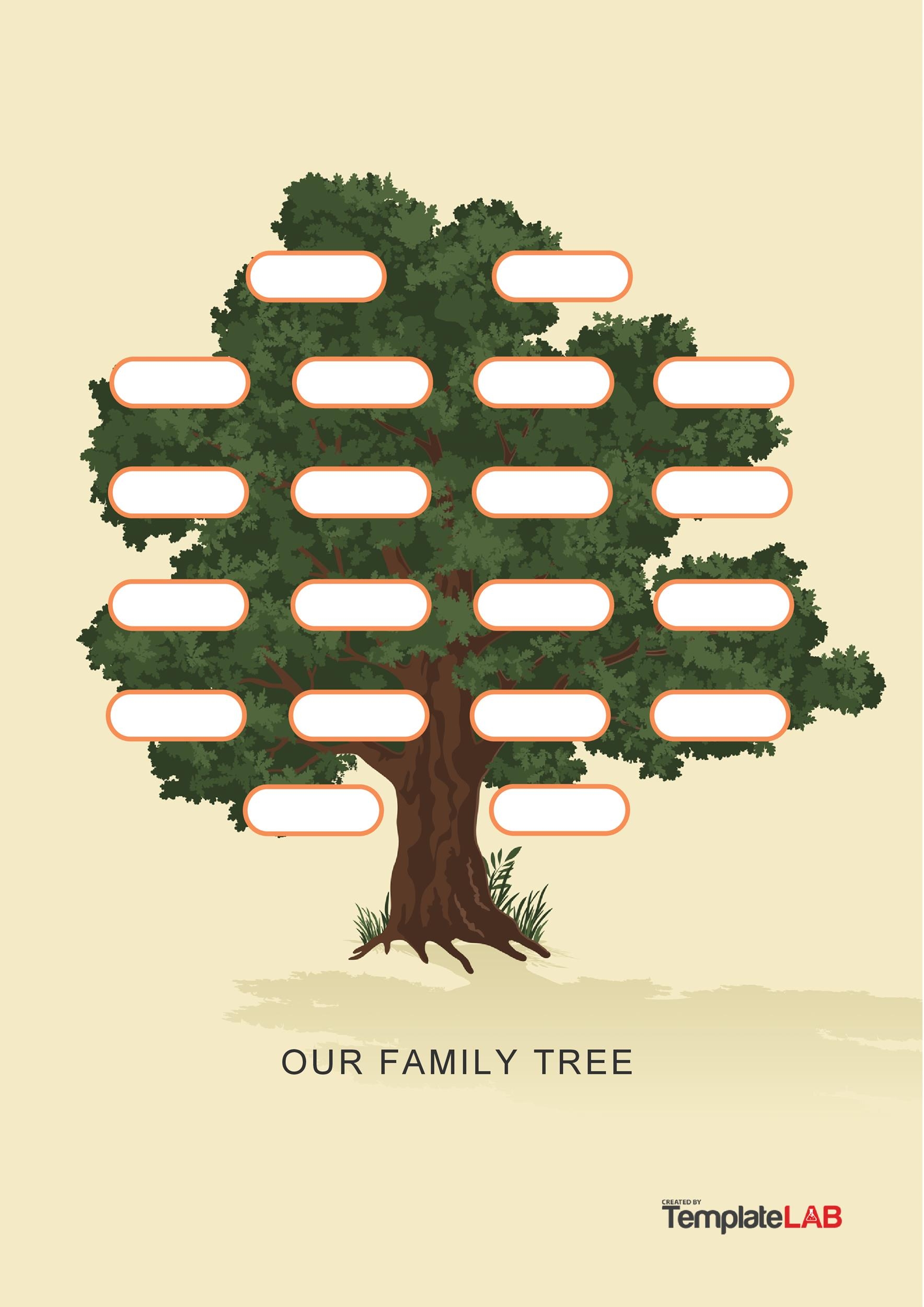 41 Free Family Tree Templates Word Excel PDF PowerPoint 