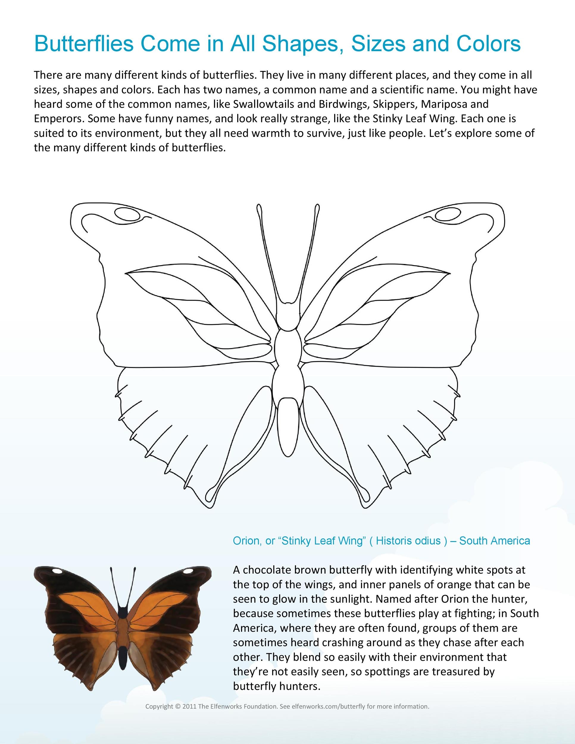 Free Butterfly Template Printable