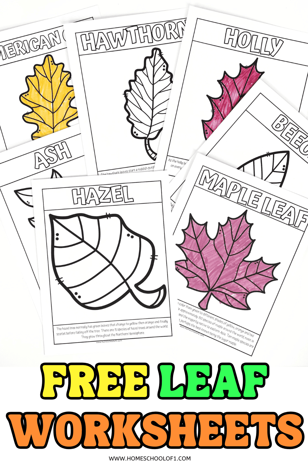 7 Free Leaf Coloring Pages With Tree Facts Fall Fun 