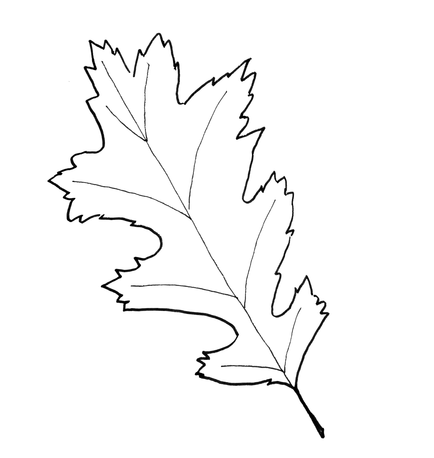 Free Printable Templates Fall Leaves