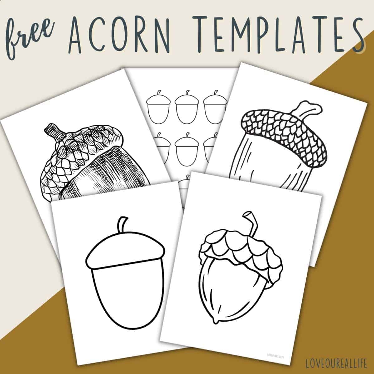 Free Acorn Template Printables Acorn Shapes For Crafts Love Our Real Life