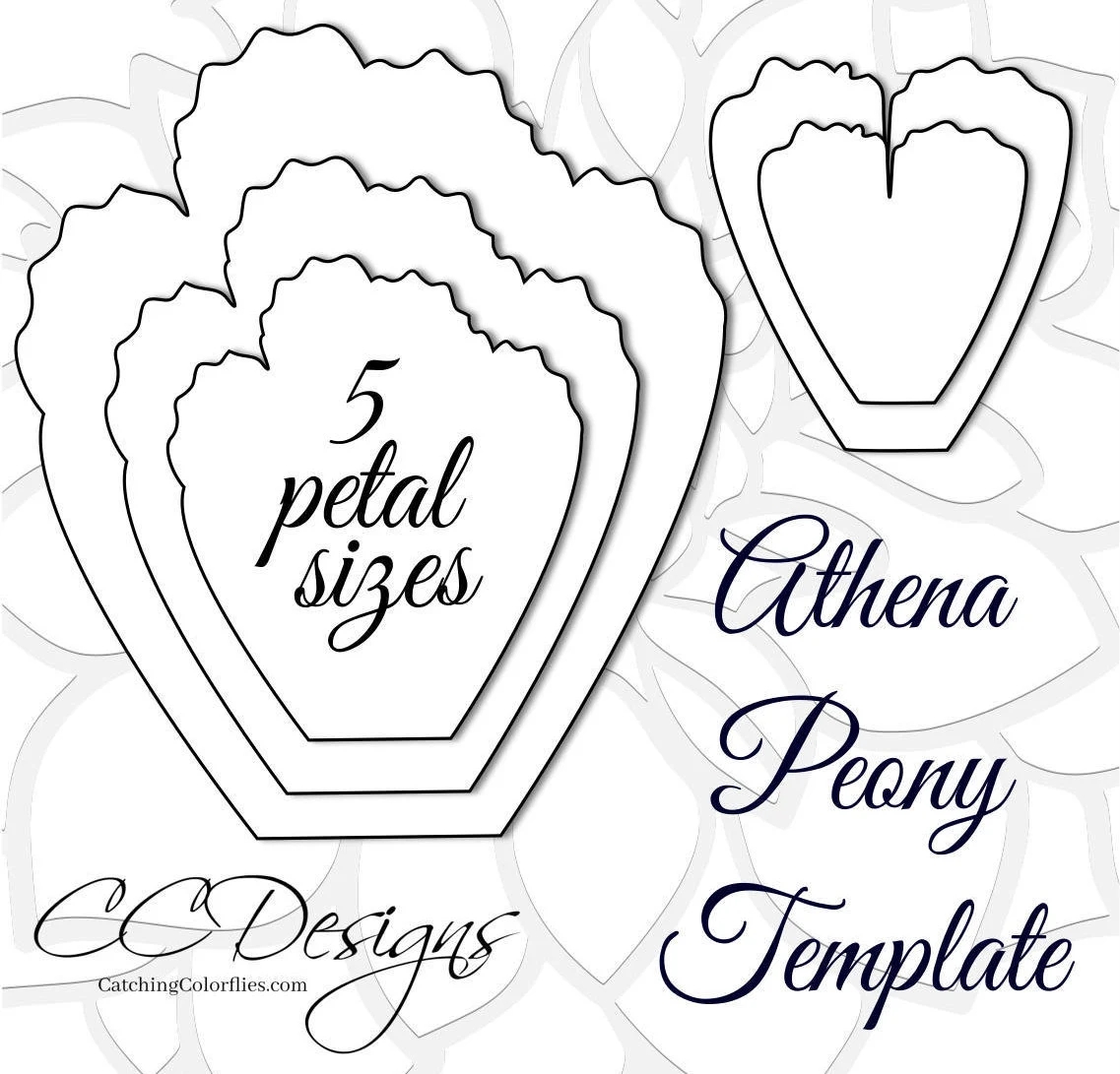 Giant Paper Peonies Printable PDF Flower Templates Peony PDF Templates Large Flower Templates Birthday Flower Backdrop Etsy