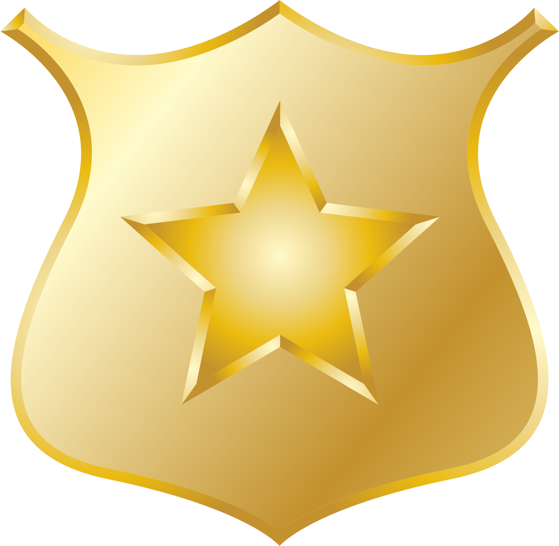 Gold Police Badge Icon PNG Transparent Background Free Download 12508 FreeIconsPNG