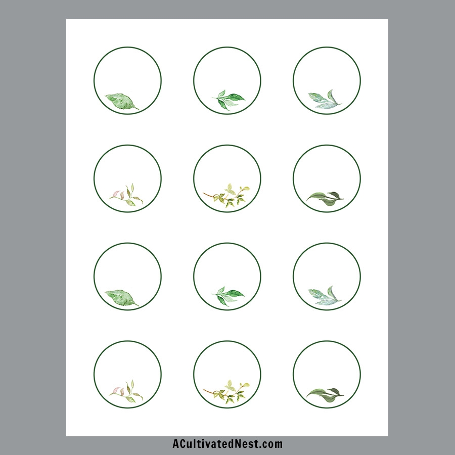 Downloadable Free Printable Round Labels Template
