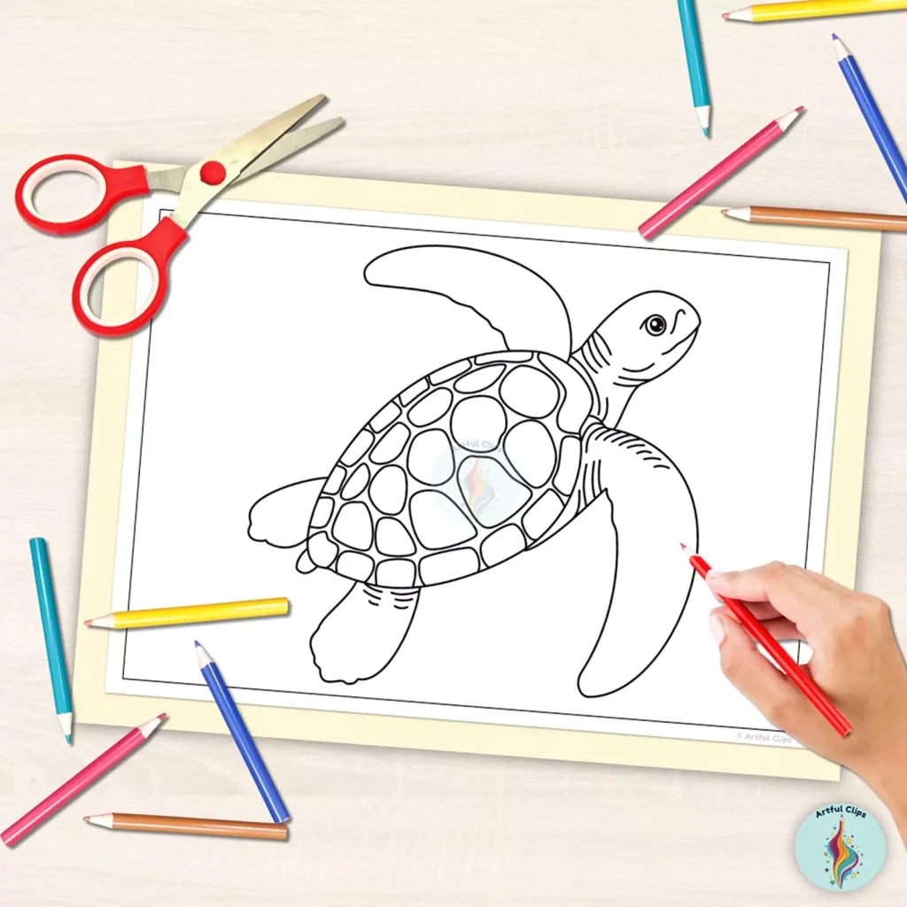 Sea Turtle Template Set Simple Black And White Outlines