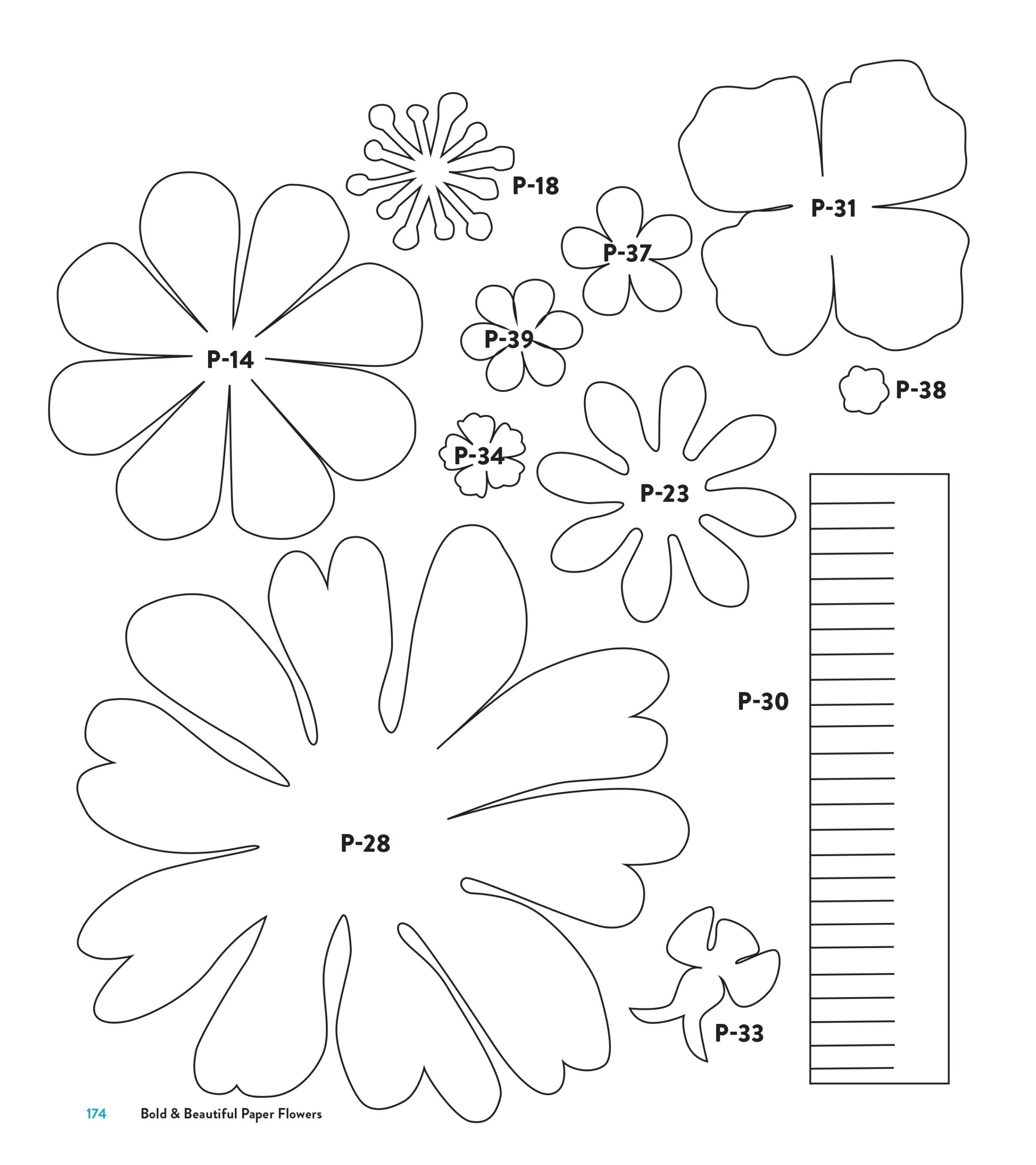 TEMPLATES Worksheets Library