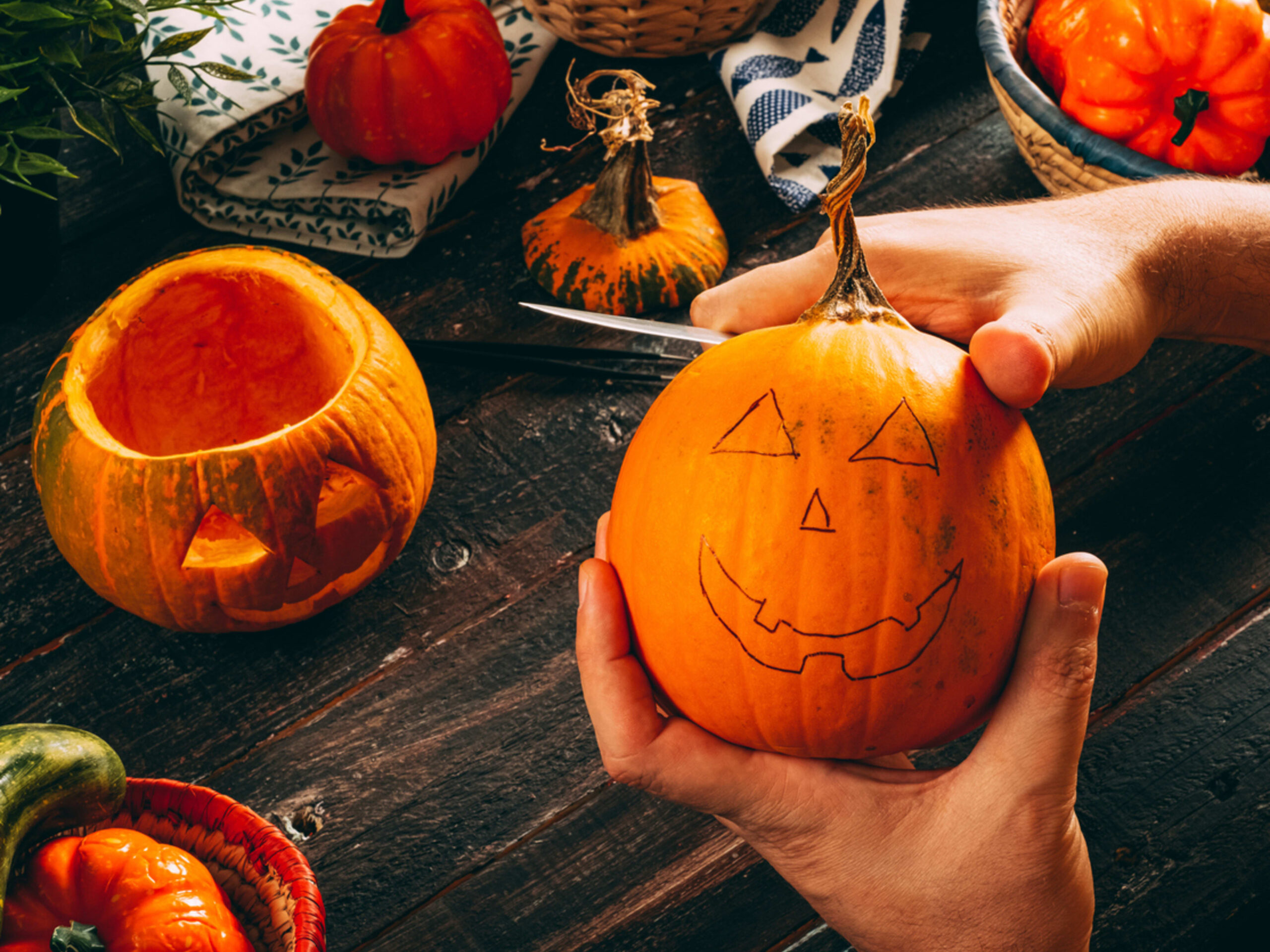 50 printable pumpkin carving stencils to use as templates