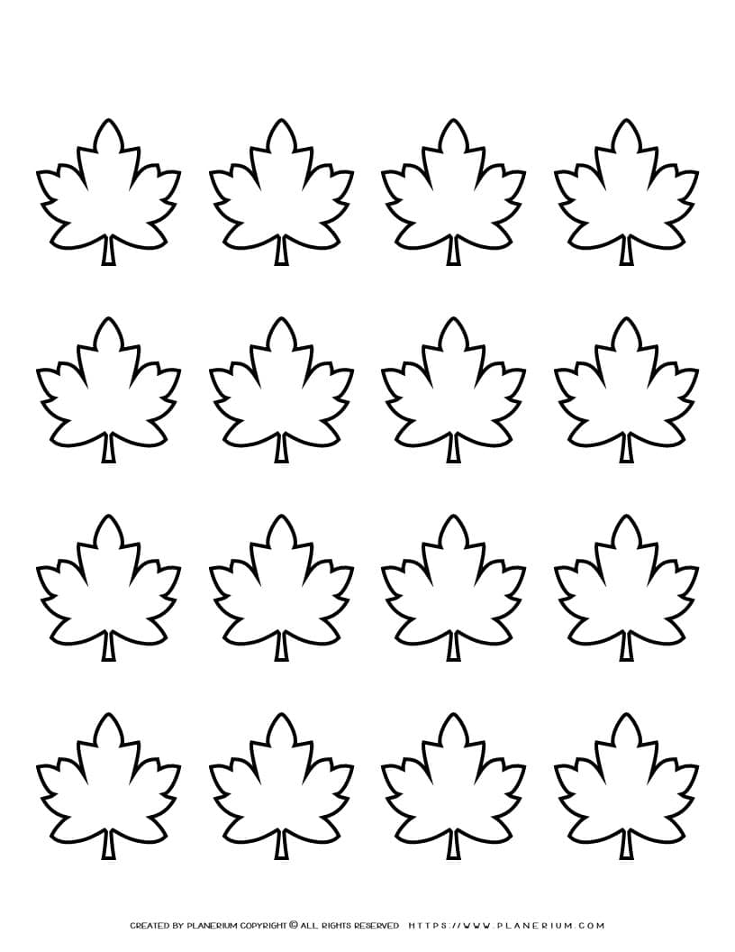 maple leaves template sixteen leaves planerium